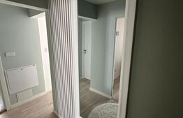 Apartament 2 camere, zona Independentei