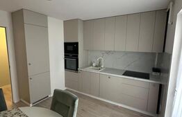 Apartament 2 camere, zona Independentei
