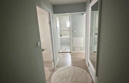 Apartament 2 camere, zona Independentei