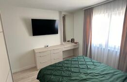 Apartament 2 camere, zona Independentei