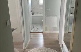 Apartament 2 camere, zona Independentei