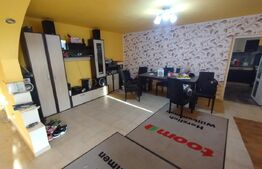 Casa 190mp utili,6 camere,2 nivele,785mp de teren,imprejmuit,Dumitra