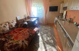 Apartament 2 camere, 39 mp, spatios, zona Sud