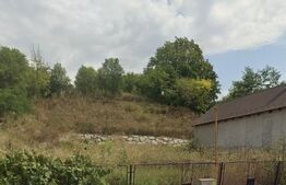 Teren 1197 mp, dealul Budacului la 5minute de Centrul orasului.