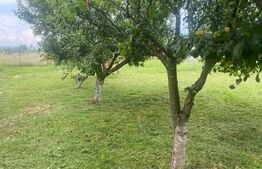 Teren extravilan 10 ari cu Cabana de 45 mp 