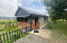 Teren extravilan 10 ari cu Cabana de 45 mp 