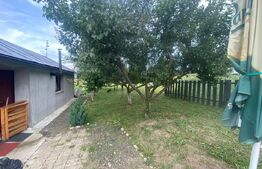 Teren extravilan 10 ari cu Cabana de 45 mp 