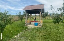 Teren extravilan 10 ari cu Cabana de 45 mp 