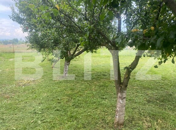 Teren de vânzare Sud - 155040TV | BLITZ Bistriţa | Poza10