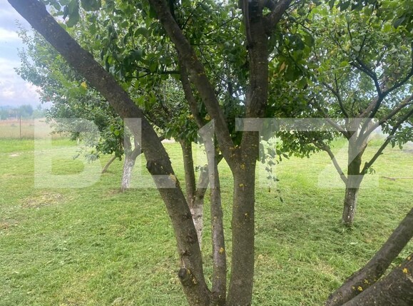 Teren de vânzare Sud - 155040TV | BLITZ Bistriţa | Poza9