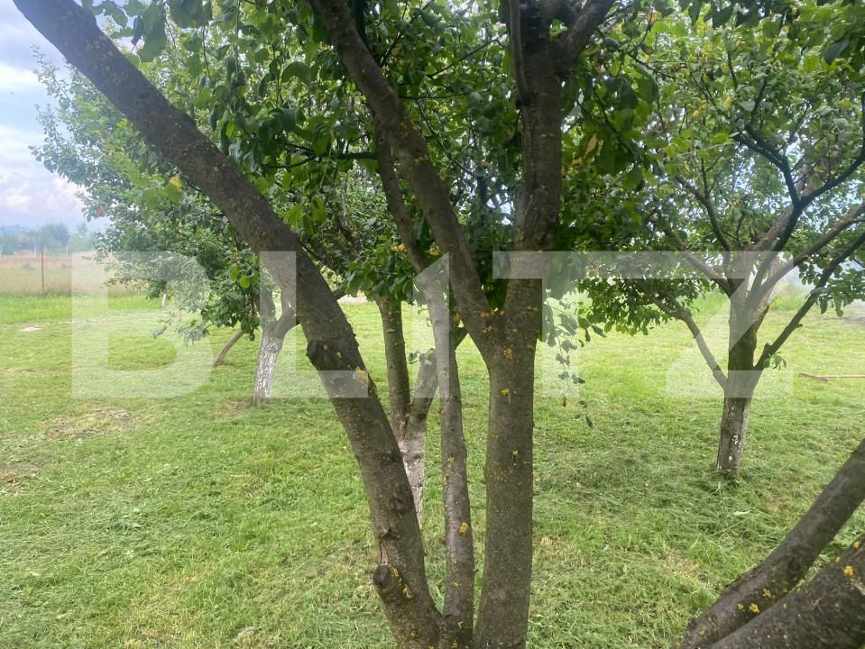 Teren de vânzare Sud - 155040TV | BLITZ Bistriţa | Poza9