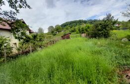 Teren Intravilan, 950 mp, zona Valea Ghinzii