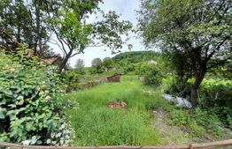 Teren Intravilan, 950 mp, zona Valea Ghinzii