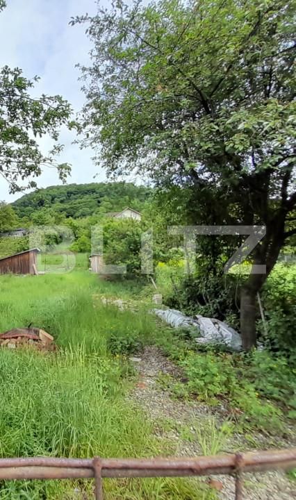 Teren de vânzare Nord-Est - 155121TV | BLITZ Bistriţa | Poza6