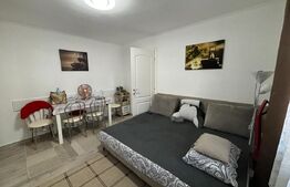 Garsoniera 30mp - Independentei