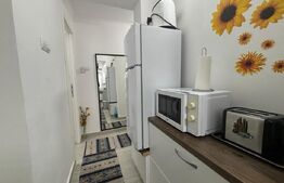 Garsoniera 30mp - Independentei