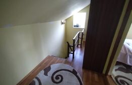 Casa/Cabana de vacanta 108 mp+teren 2,75 hectare+1 hectar padure,zona Nasaudului