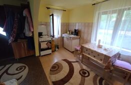 Casa/Cabana de vacanta 108 mp+teren 2,75 hectare+1 hectar padure,zona Nasaudului