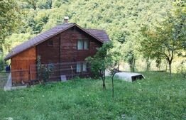 Casa/Cabana de vacanta 108 mp+teren 2,75 hectare+1 hectar padure,zona Nasaudului