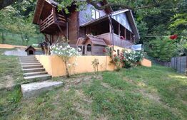 Casa/Cabana de vacanta 108 mp+teren 2,75 hectare+1 hectar padure,zona Nasaudului
