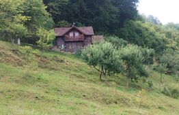 Casa/Cabana de vacanta 108 mp+teren 2,75 hectare+1 hectar padure,zona Nasaudului