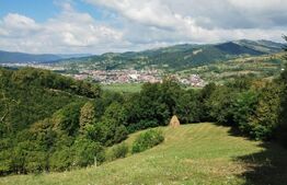 Casa/Cabana de vacanta 108 mp+teren 2,75 hectare+1 hectar padure,zona Nasaudului