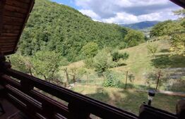 Casa/Cabana de vacanta 108 mp+teren 2,75 hectare+1 hectar padure,zona Nasaudului