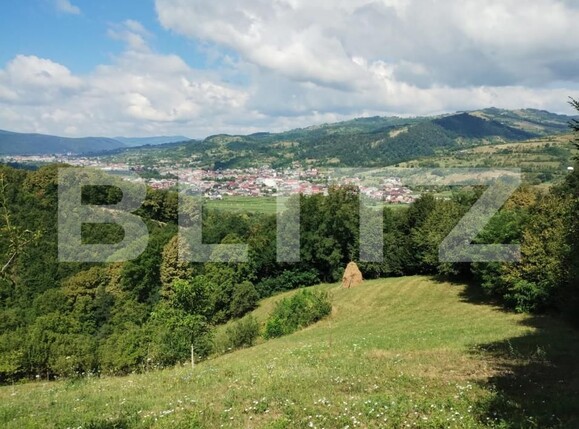 Casa de vânzare 3 camere Nasaud - 155511CV | BLITZ Bistriţa | Poza8