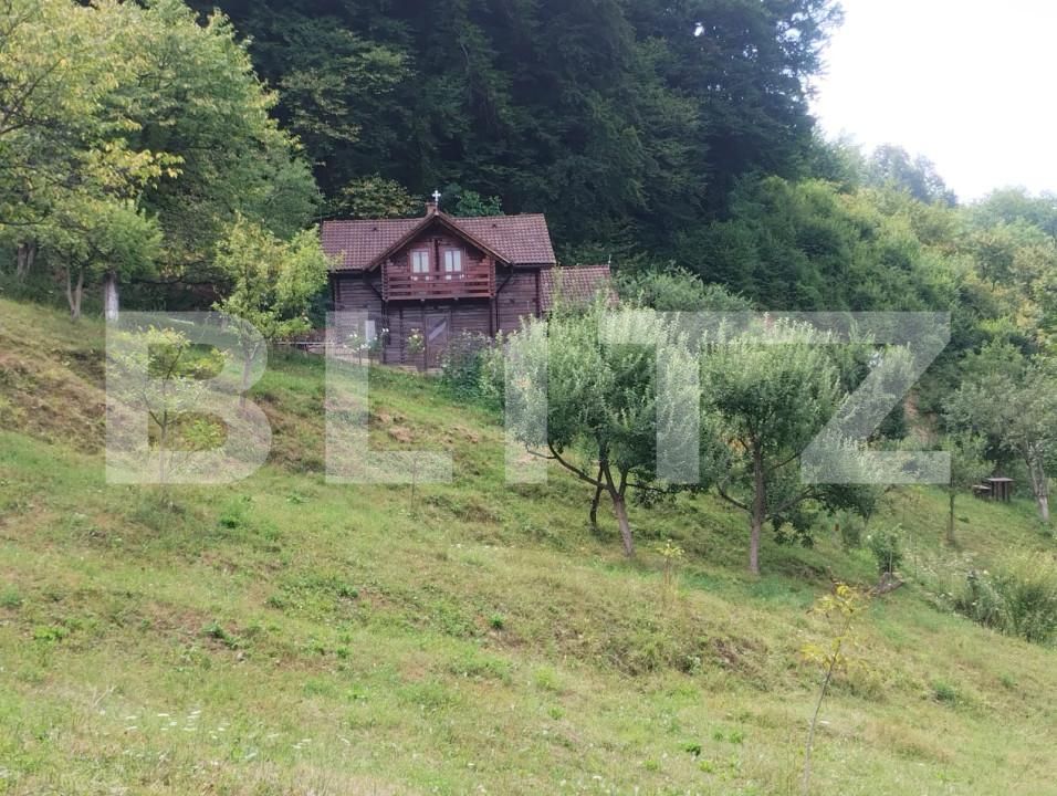 Casa de vânzare 3 camere Nasaud - 155511CV | BLITZ Bistriţa | Poza2