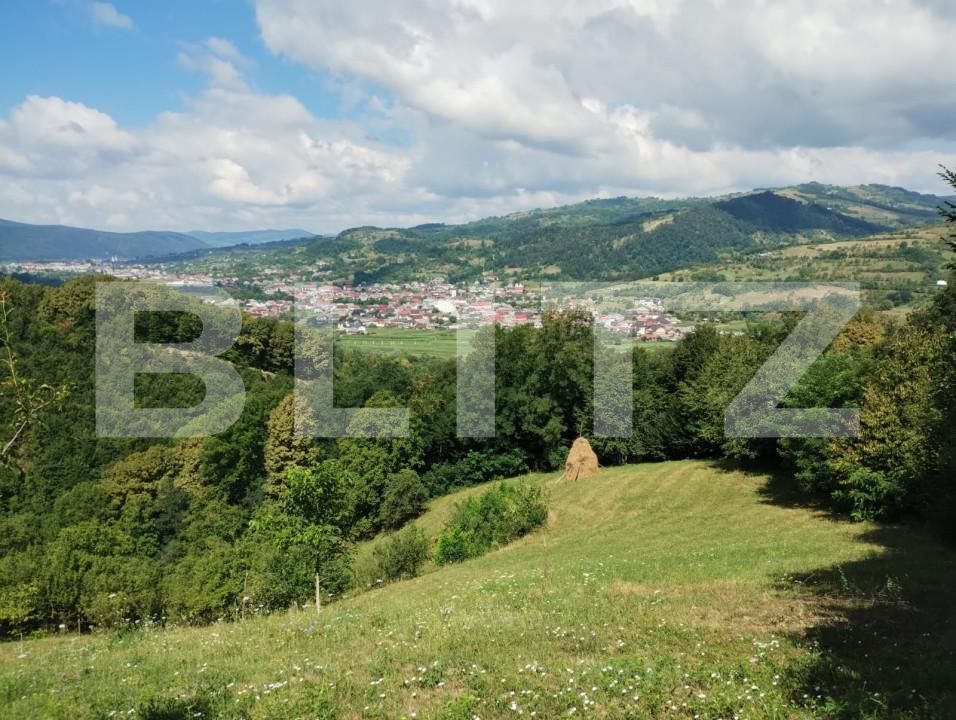 Casa de vânzare 3 camere Nasaud - 155511CV | BLITZ Bistriţa | Poza8