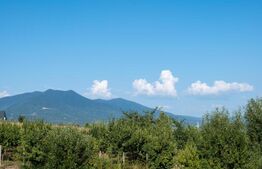 Casa superba de vacanta cu lac de pesti, in comuna Livezile