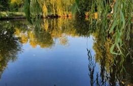 Casa superba de vacanta cu lac de pesti, in comuna Livezile