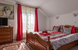 Casa superba de vacanta cu lac de pesti, in comuna Livezile