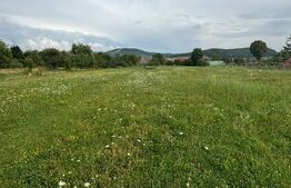 Teren Intravilan UNIREA 972mp