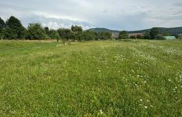 Teren Intravilan UNIREA 972mp