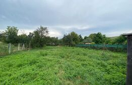 Casa individuala, 1049 mp teren, Domnesti, 18 km de oras.