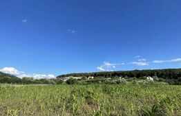 Teren intravilan, 10.100mp, Str. Lacului