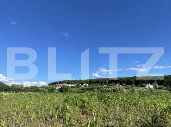 Teren de vânzare Nord-Est - 156081TV | BLITZ Bistriţa | Poza3