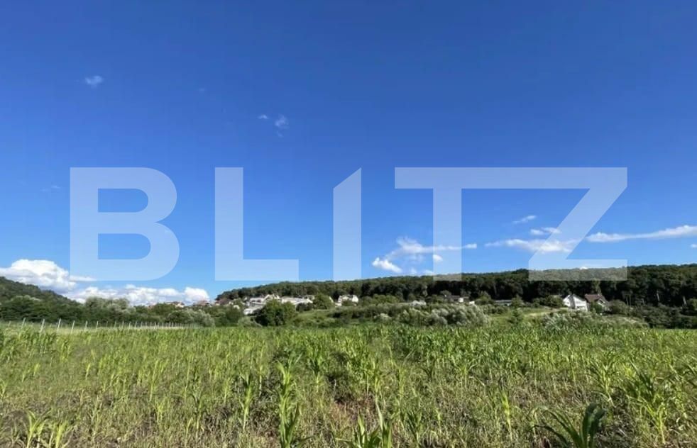 Teren de vânzare Nord-Est - 156081TV | BLITZ Bistriţa | Poza3