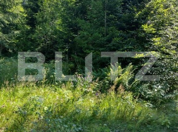 Teren de vânzare Exterior Nord - 156086TV | BLITZ Bistriţa | Poza2