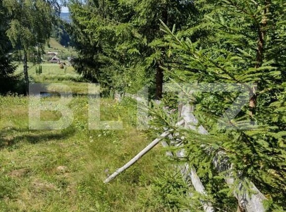 Teren de vânzare Exterior Nord - 156086TV | BLITZ Bistriţa | Poza4