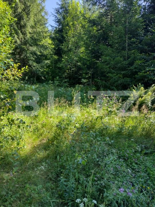 Teren de vânzare Exterior Nord - 156086TV | BLITZ Bistriţa | Poza3