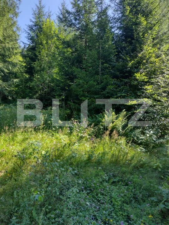 Teren de vânzare Exterior Nord - 156086TV | BLITZ Bistriţa | Poza2