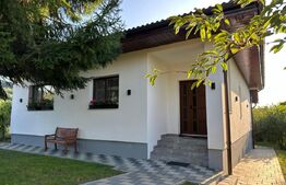 Casa cocheta, 2 dormitoare, 14 ari, zona linistita podul Jelnei