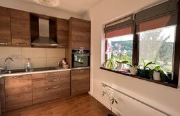 Casa cocheta, 2 dormitoare, 14 ari, zona linistita podul Jelnei