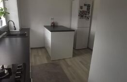 Apartament 2 dormitoare, 100 mp,  zona Lama