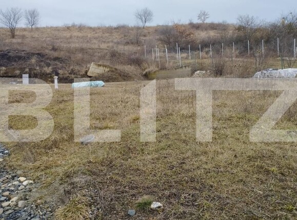 Teren de vânzare Viișoara - 156242TV | BLITZ Bistriţa | Poza4