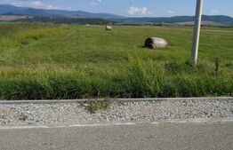 Teren extravilan, Livezile, 1.83 hectare