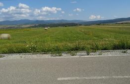 Teren extravilan, Livezile, 1.83 hectare