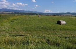 Teren extravilan, Livezile, 1.83 hectare